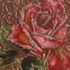 Картина с вышивкой бисером "Розы с Любовью" от Michal Negrin DSC_0677 фото 2