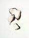 Подарочный набор Victoria's Secret Pink Coconut 39834 фото 2