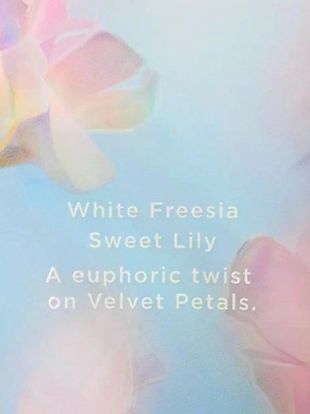 Подарочный набор: Velvet Petals Bliss Victoria's Secret (Спрей 250 мл + Лосьон 236 мл) 37095 фото